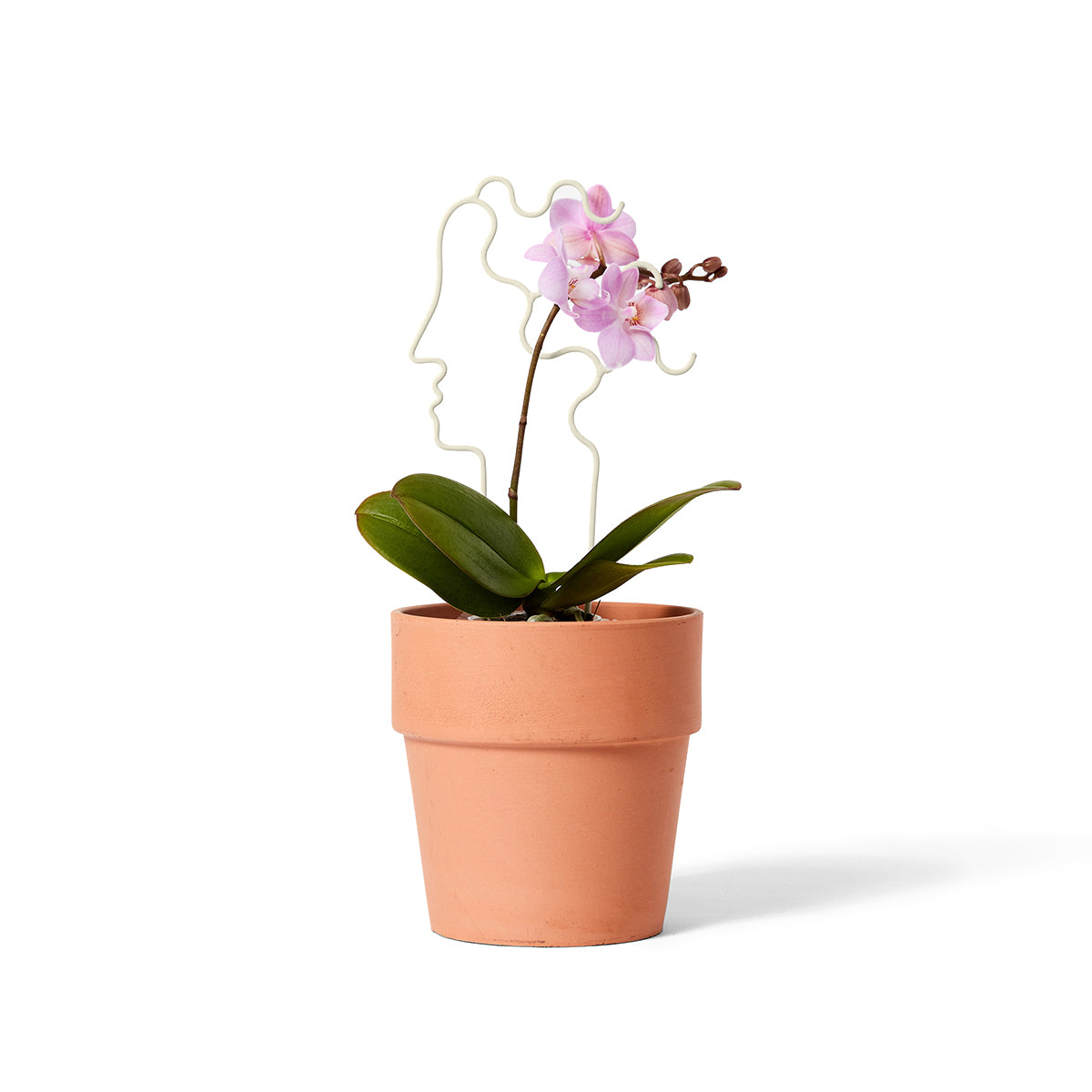 Areaware Plant Trellis Mini Human