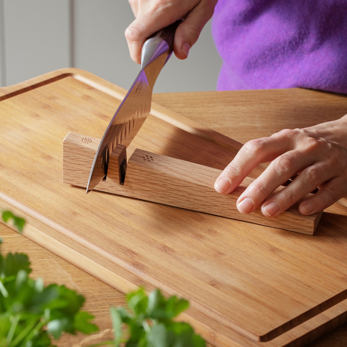 Eva Solo Knife Sharpener European