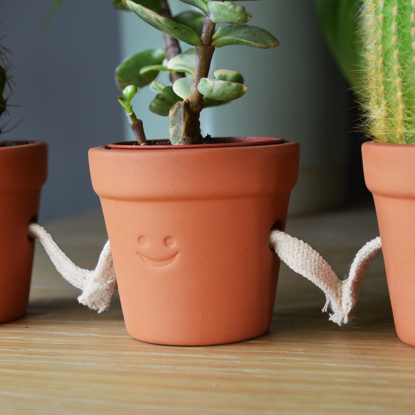 Pikkii Hand Holding Succulent Pots (set of 3)