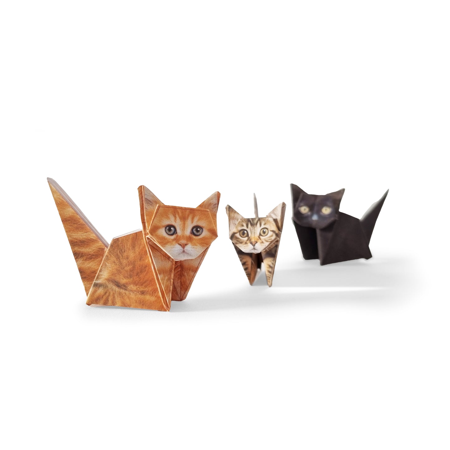 Pikkii Paper Cats