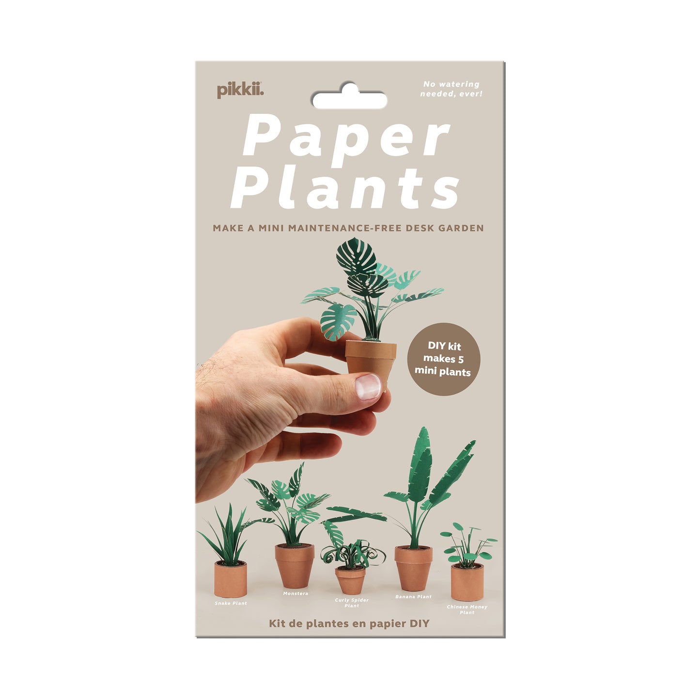Pikkii Paper Plants