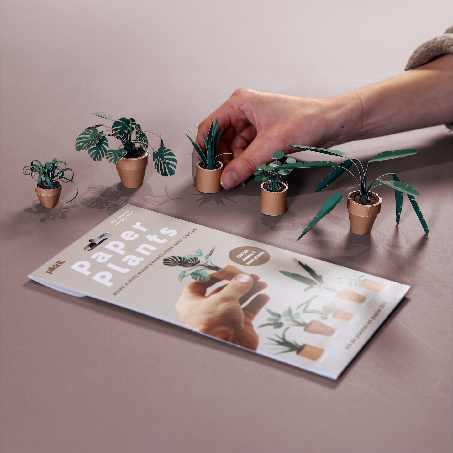 Pikkii Paper Plants
