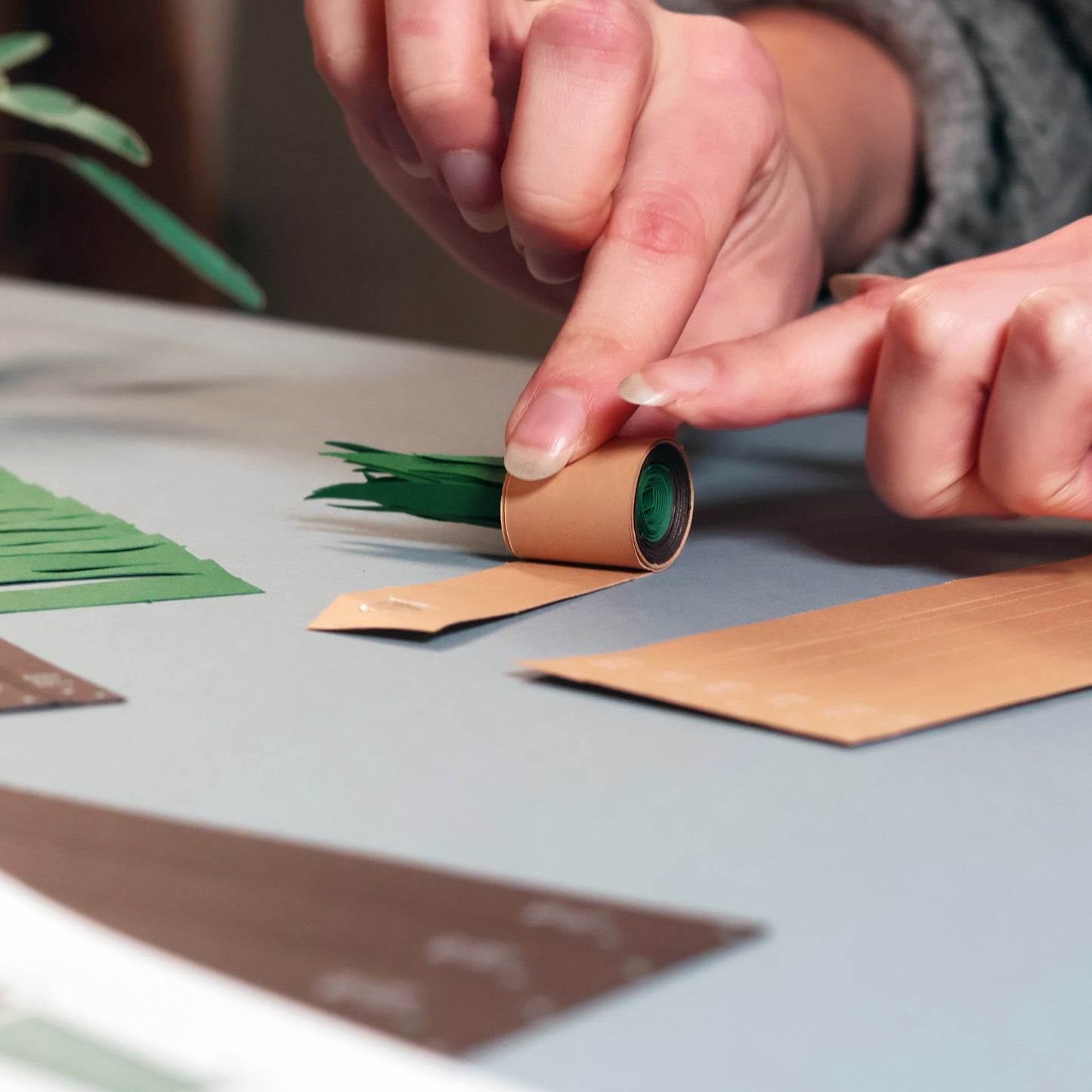 Pikkii Paper Plants