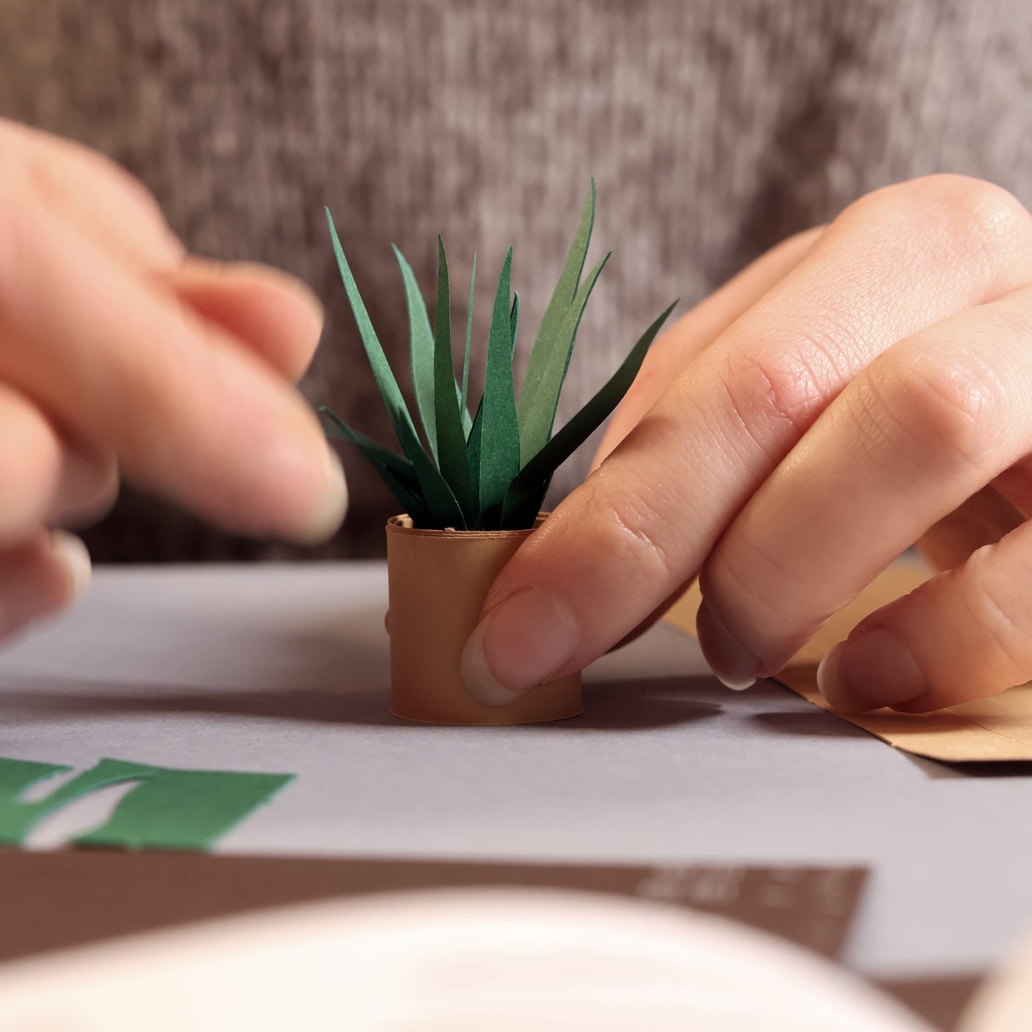 Pikkii Paper Plants