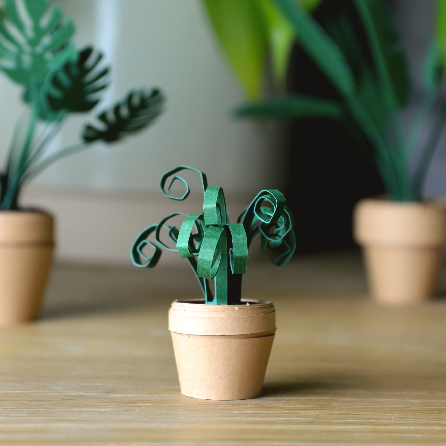 Pikkii Paper Plants