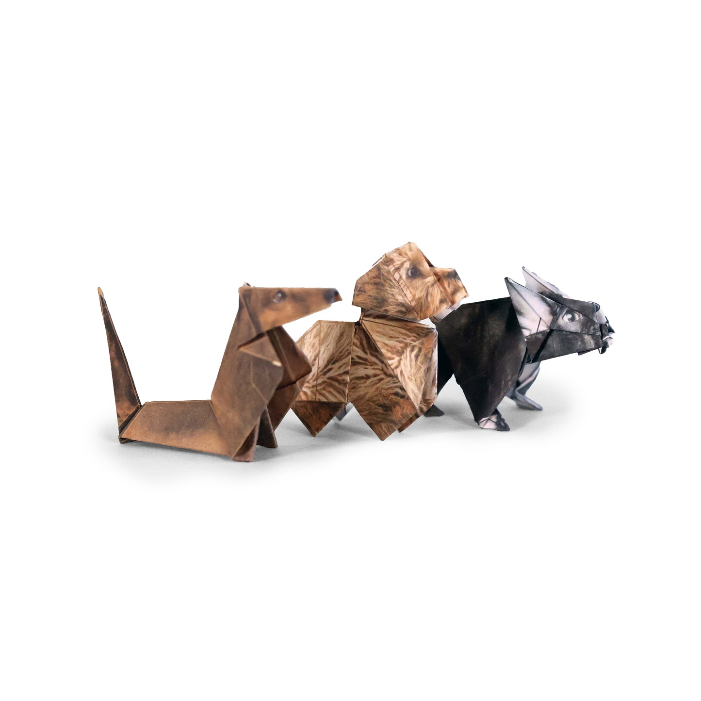 Pikkii Paper Pups