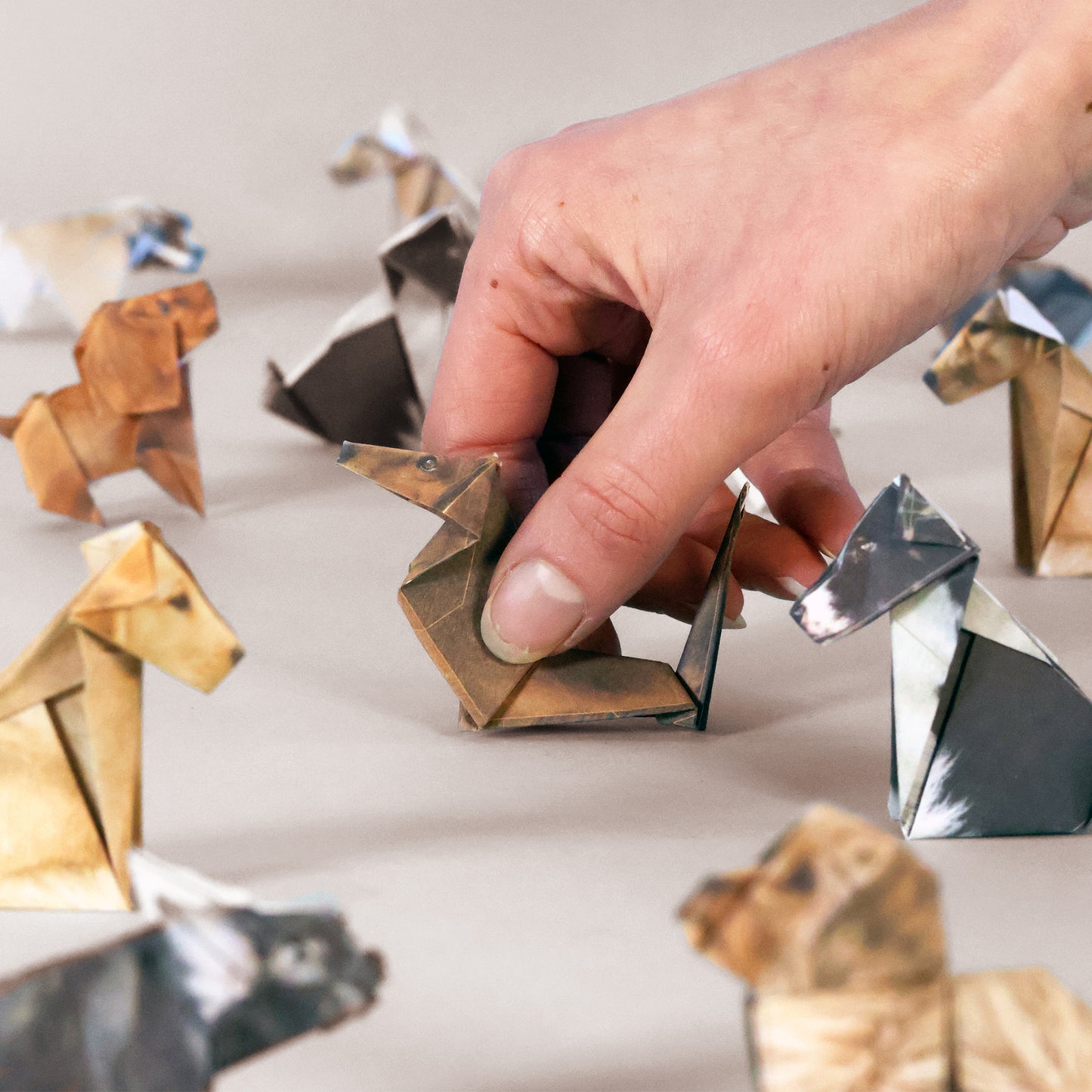Pikkii Paper Pups