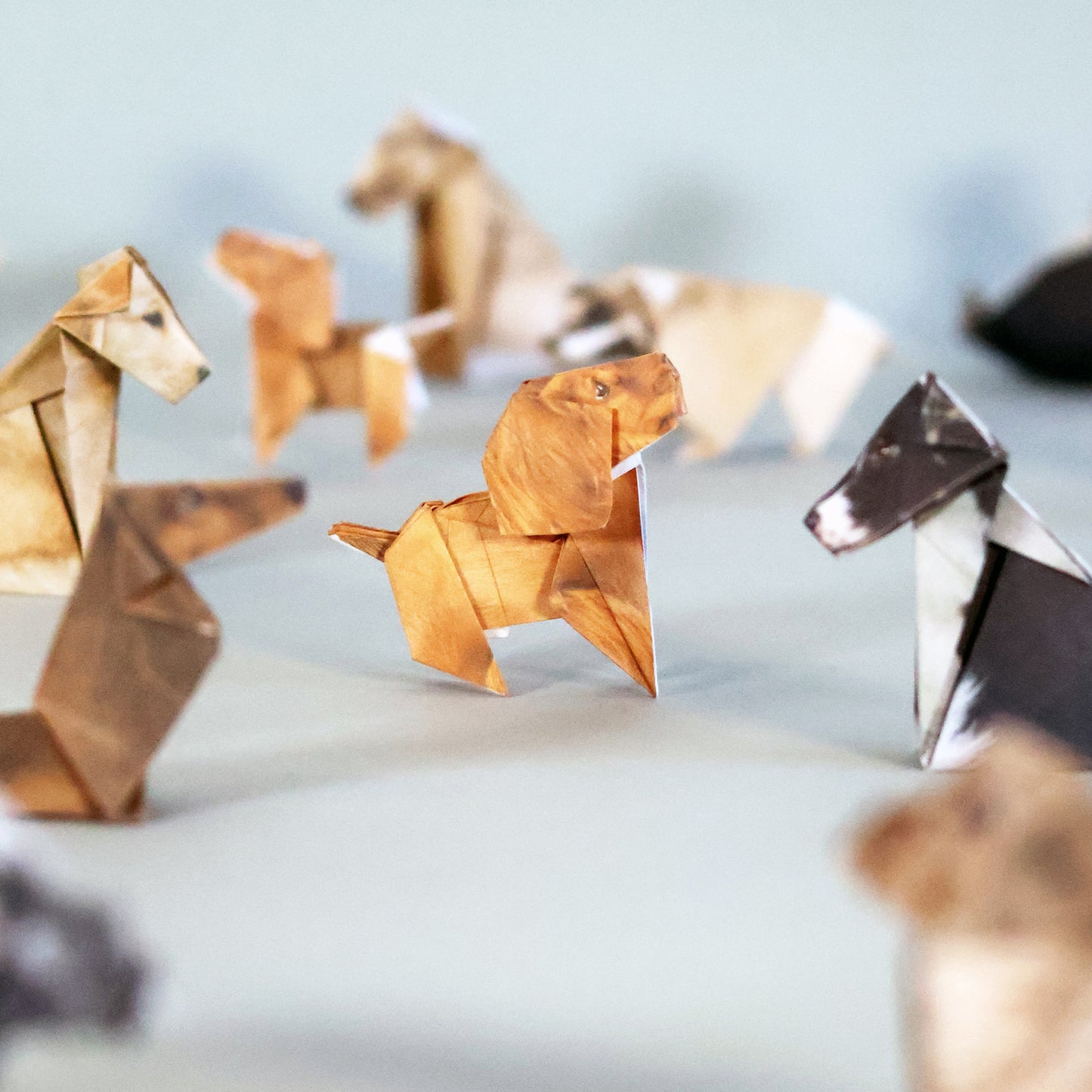 Pikkii Paper Pups