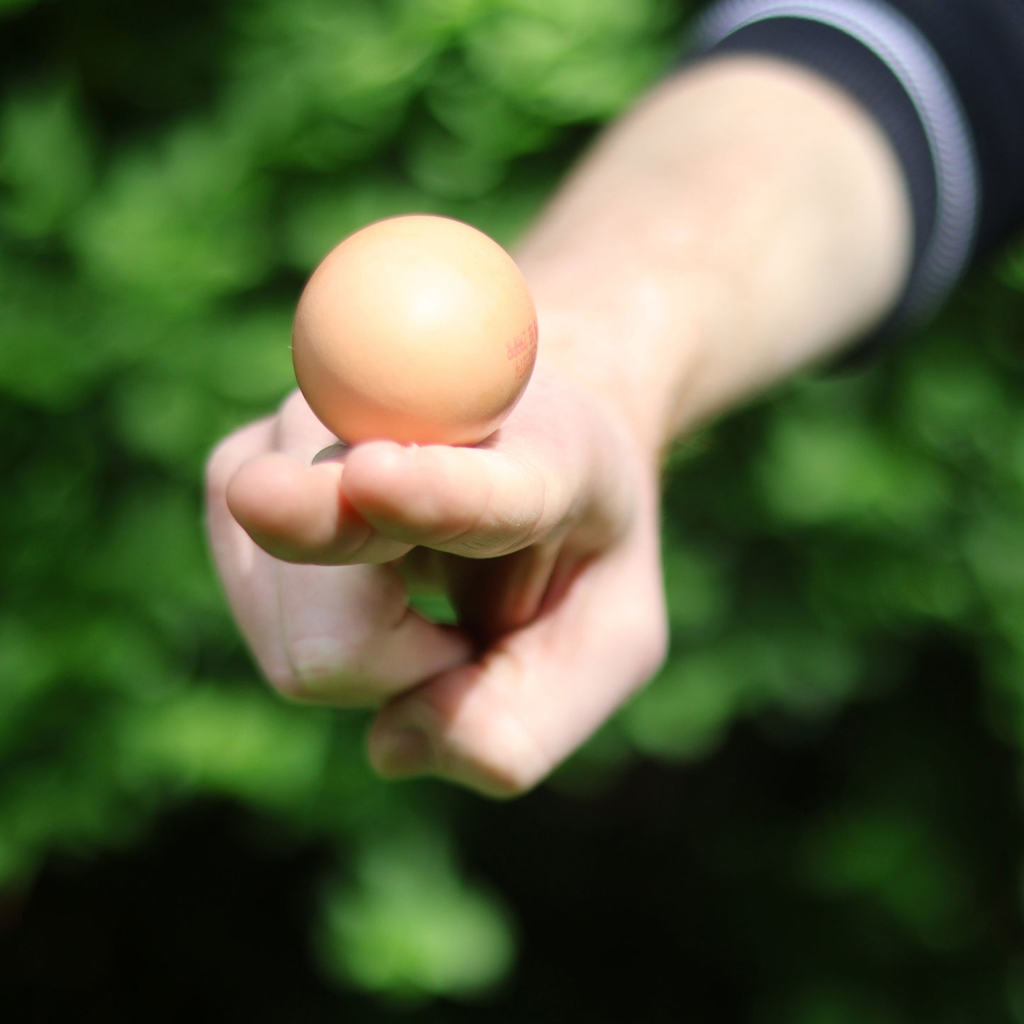 Pikkii Party Game Egg