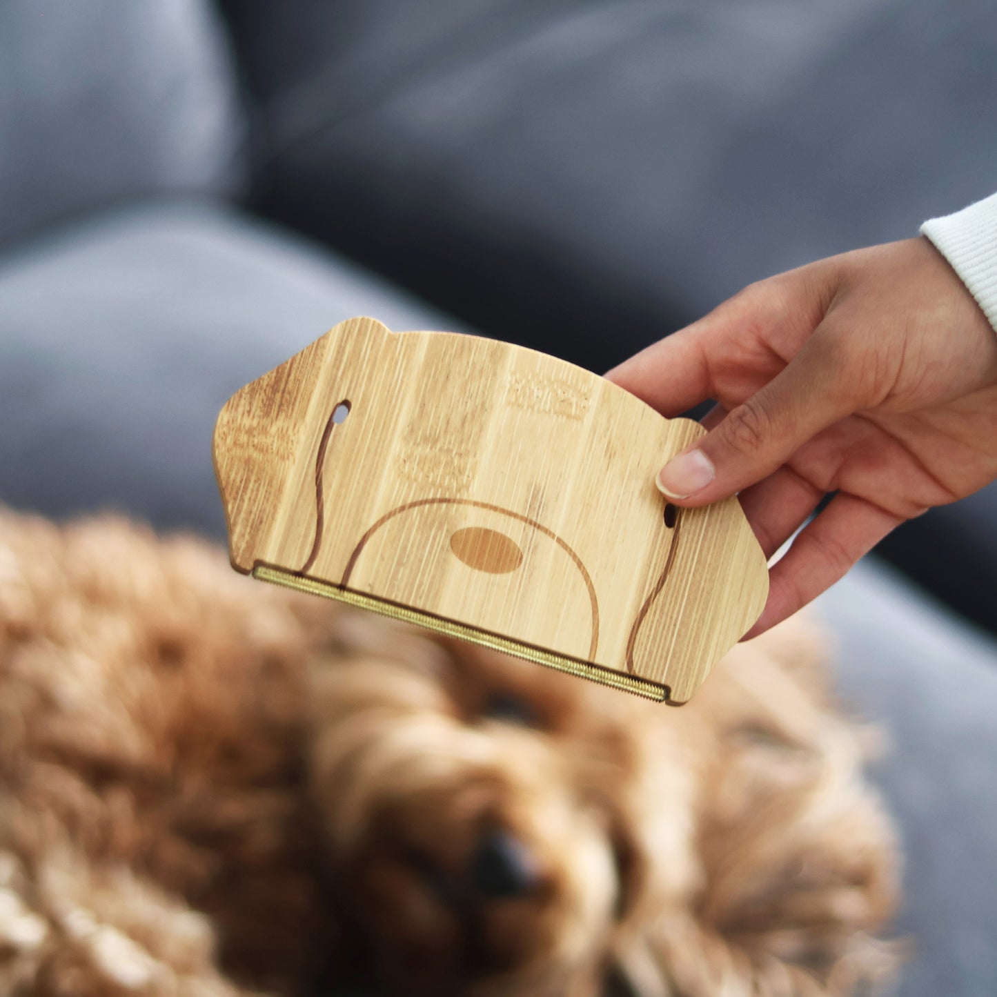 Pikkii Pet Hair Remover Dog