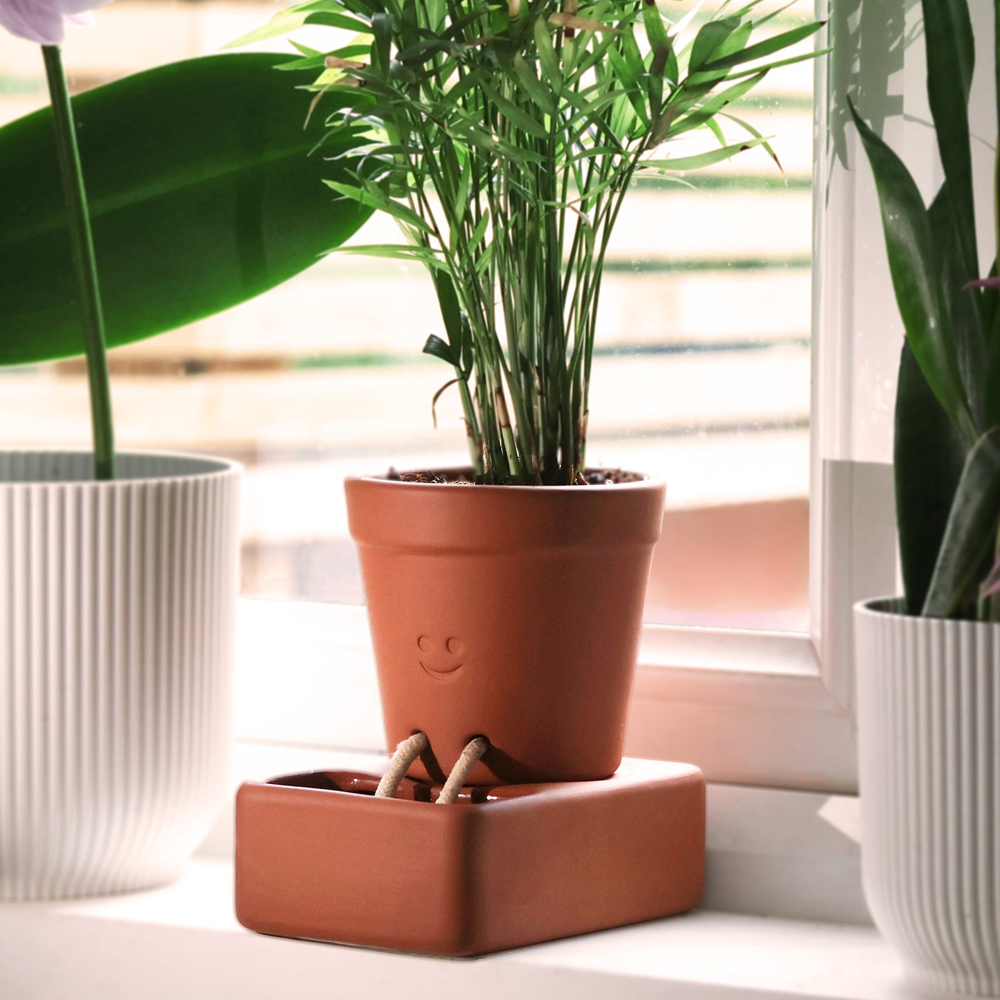 Pikkii Planter Self Care