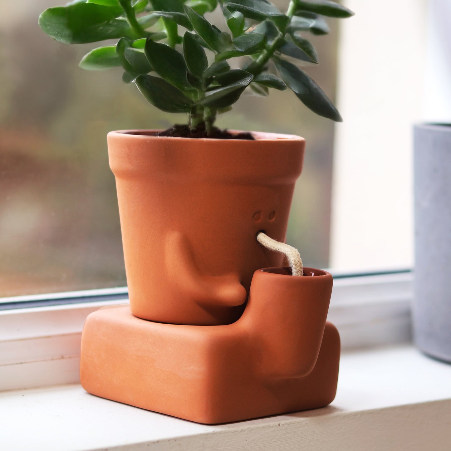 Pikkii Planter Thirsty