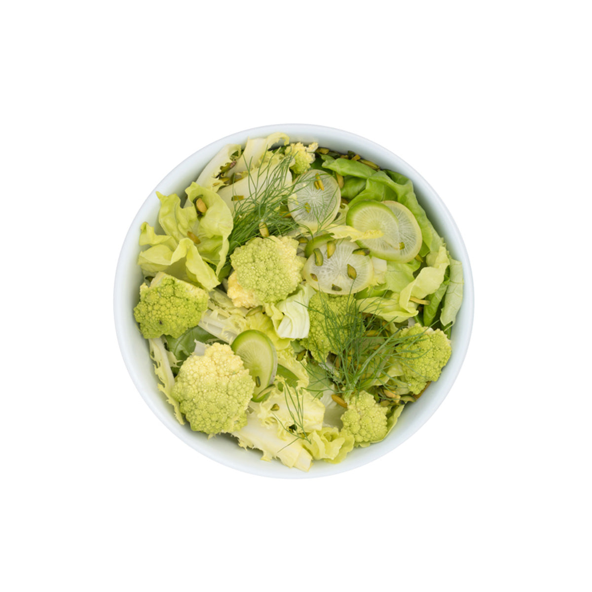 W&P Lunch Bowl Plastic Mint