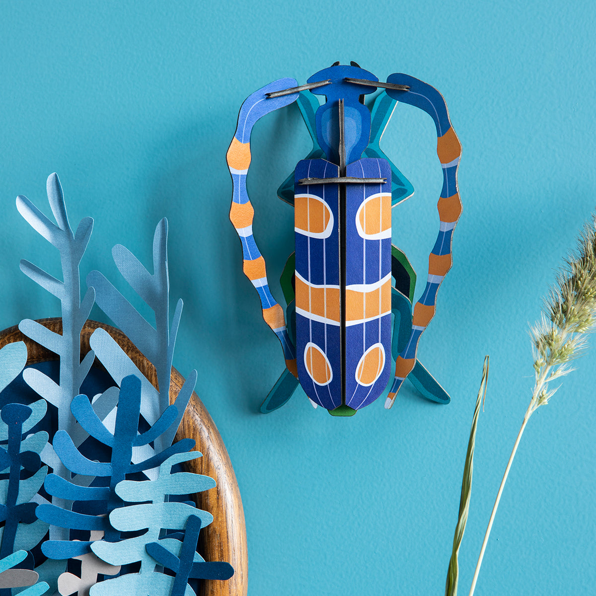 Studio Roof Wall Art Beetles (B7) Rosalia Beetle