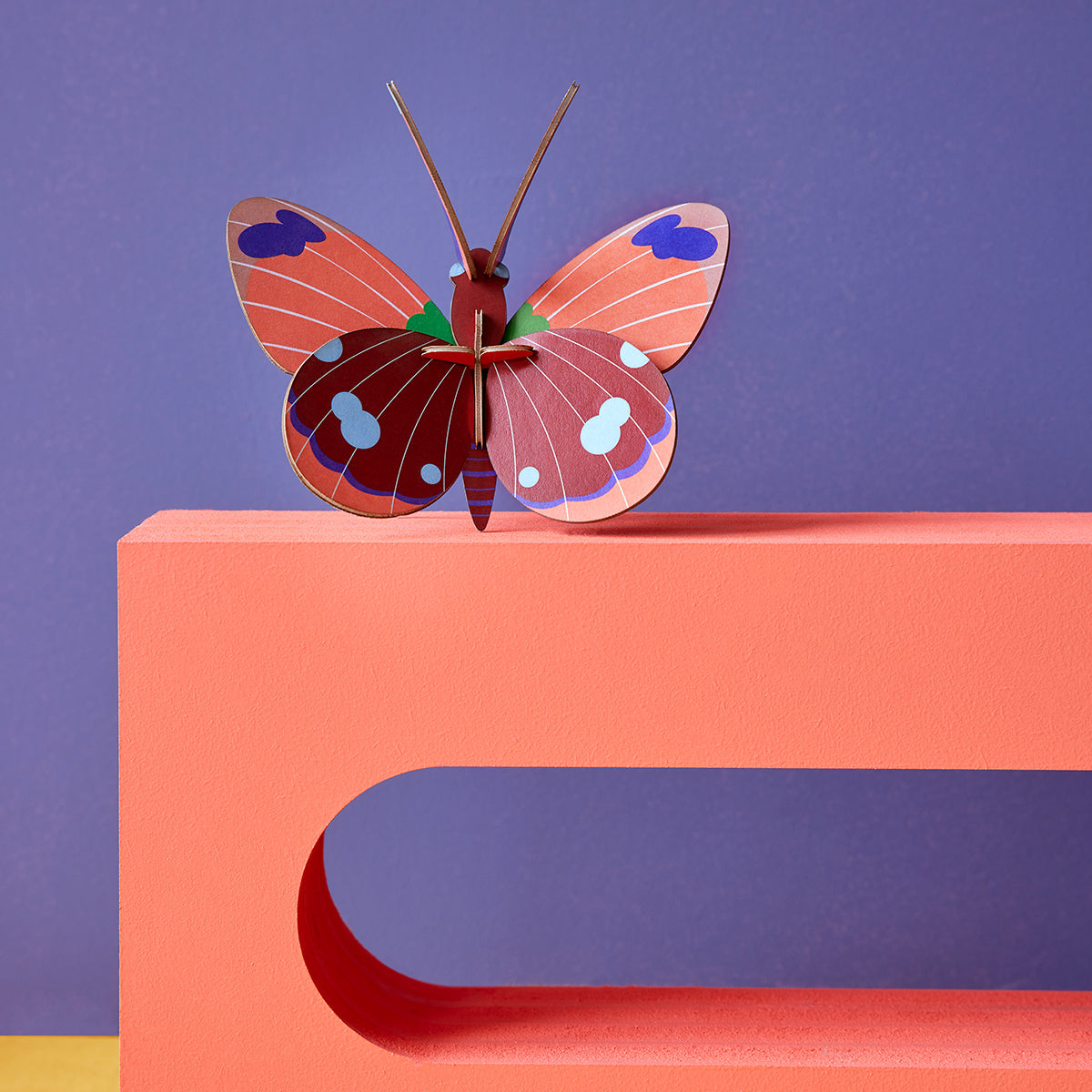 Studio Roof Wall Art Butterflies (B7) Delias Butterfly