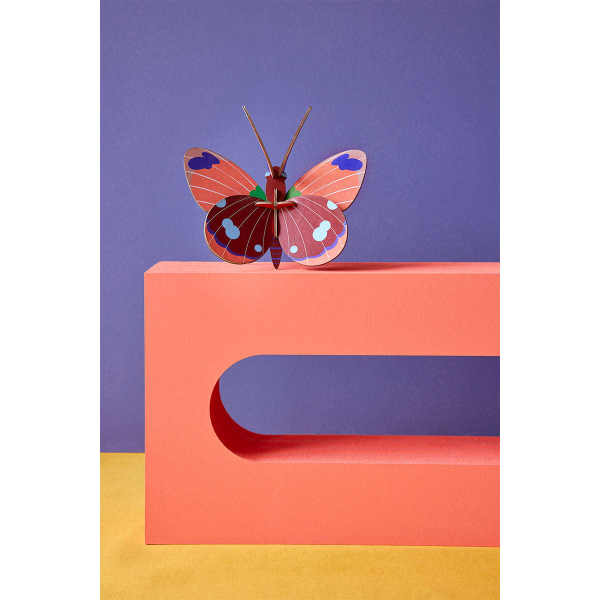 Studio Roof Wall Art Butterflies (B7) Delias Butterfly