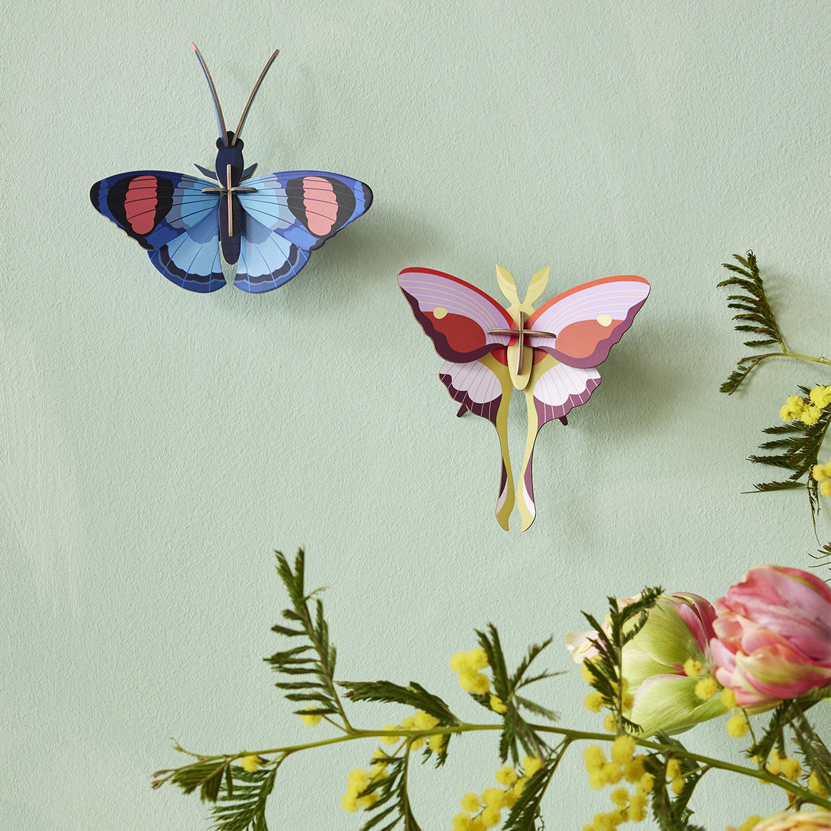 Studio Roof Wall Art Butterflies (B7) Peacock Butterfly