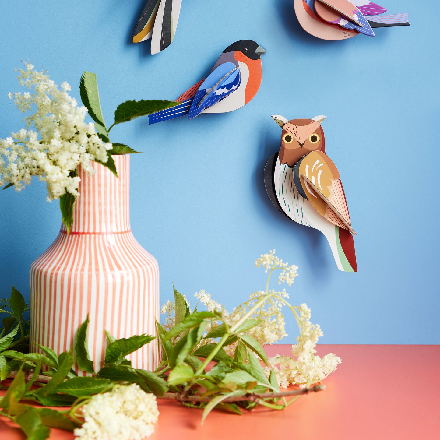 Studio Roof Wall Art Garden Birds (B6) Tawny Owl