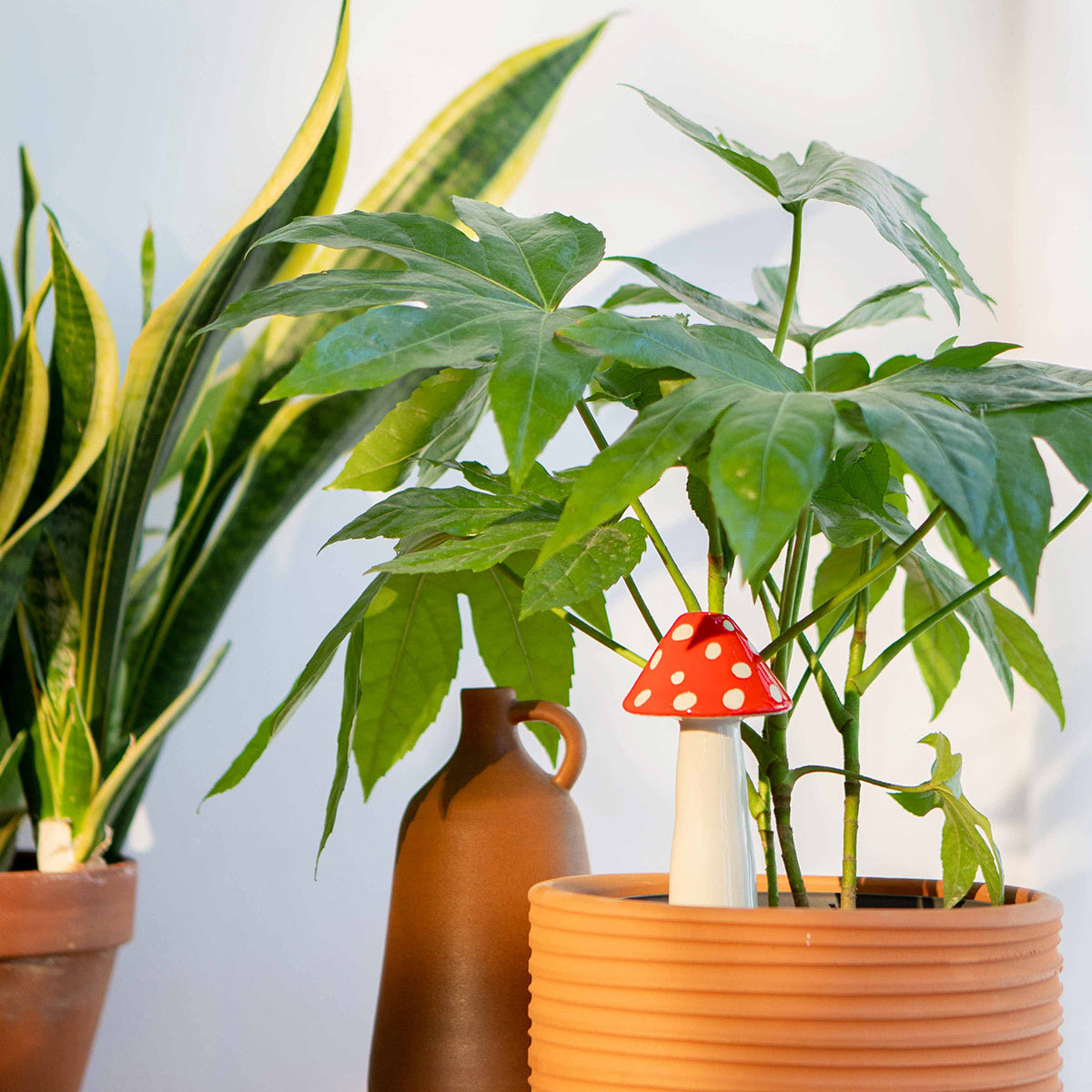 Amanita Watering System