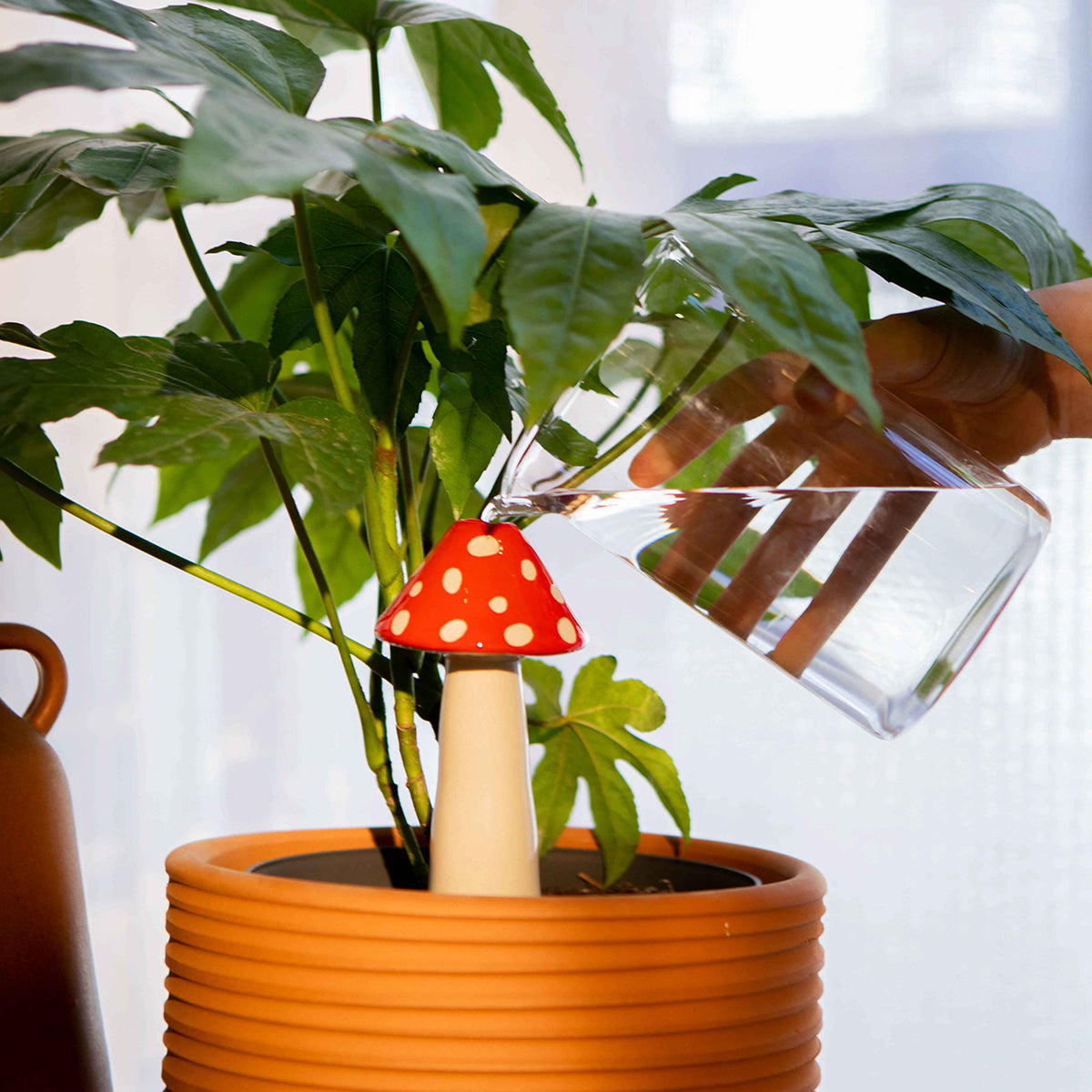 Amanita Watering System