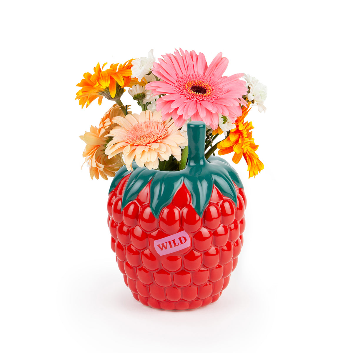 DOIY Farmers Market Vase Raspberry