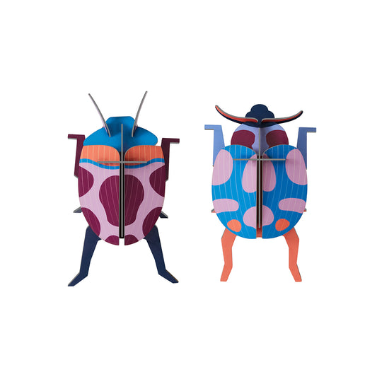Wall Art Beetles (B7) Coccinelle Couple