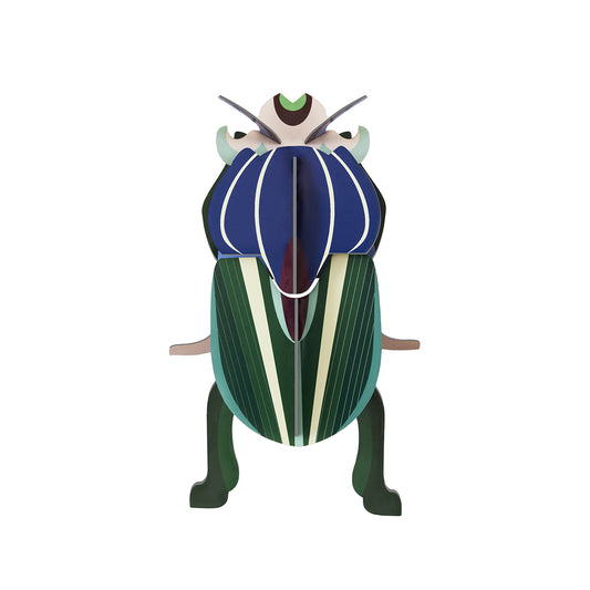 Wall Art Beetles (B7) Mimela Scarab Beetle