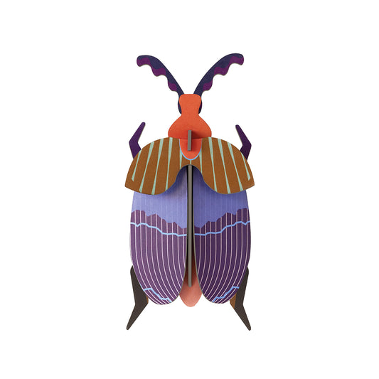 Wall Art Beetles (B7) Queen Beetle