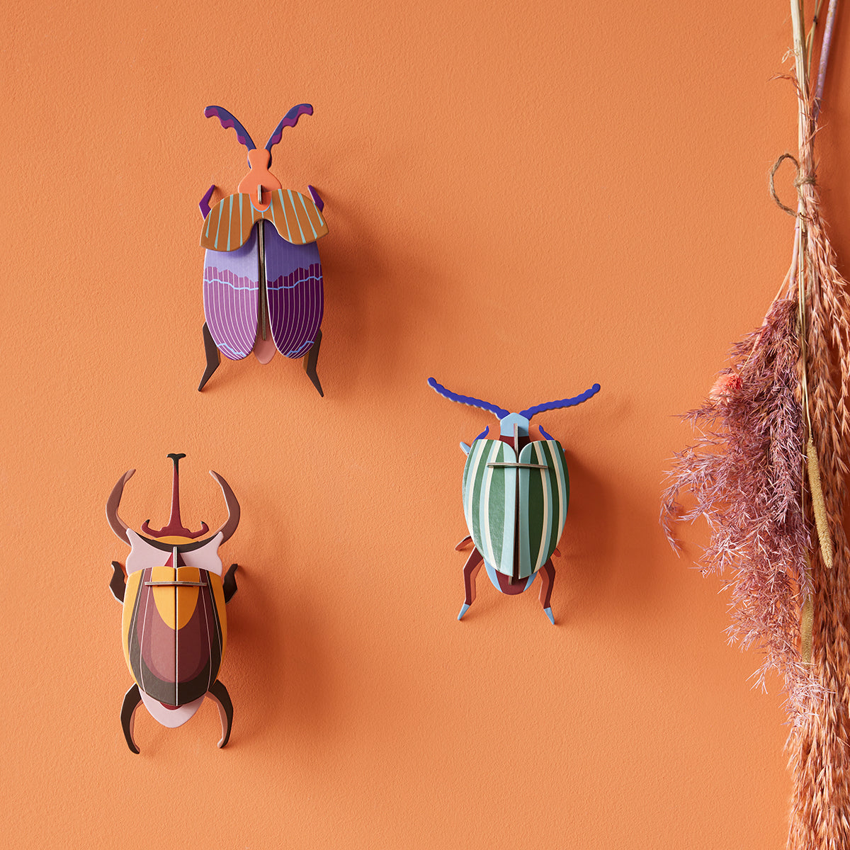 Wall Art Beetles (B7) Queen Beetle