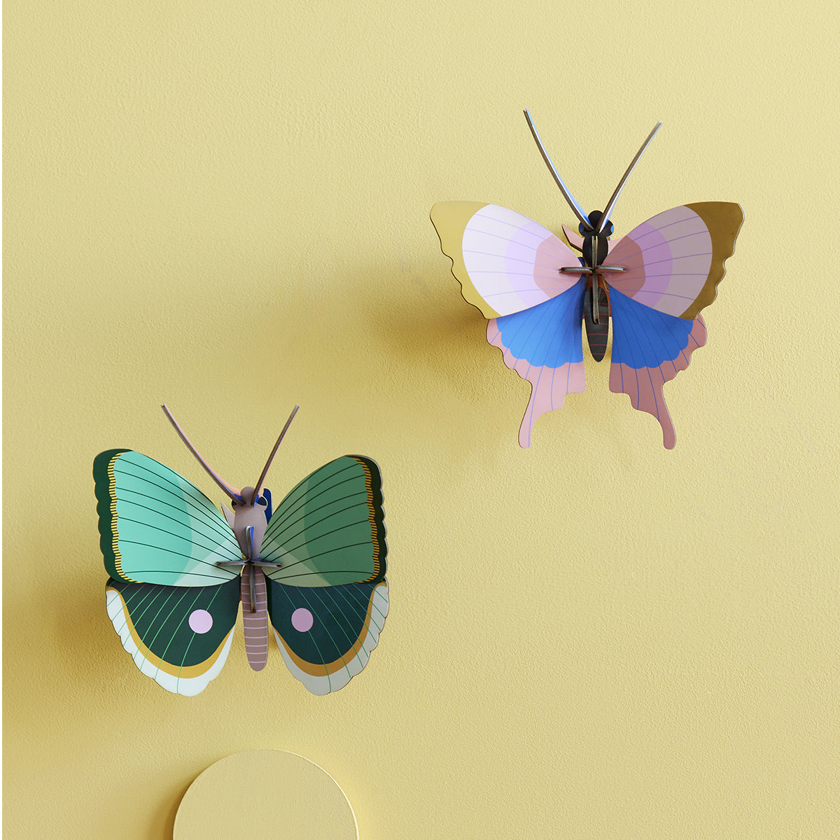 Wall Art Butterflies (B7) Fern Striped Butterfly