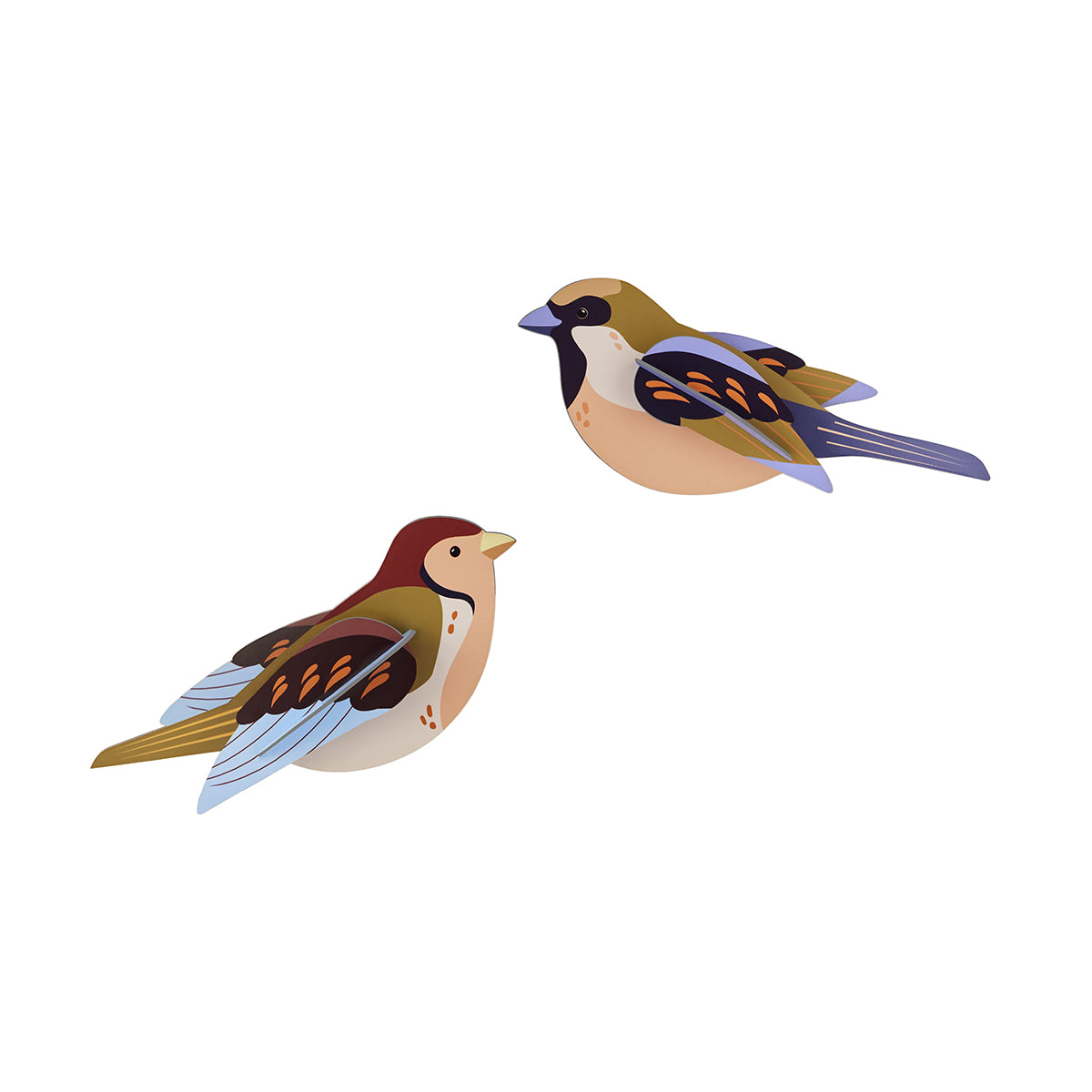 Studio Roof Wall Art Garden Birds (B6) Sparrows