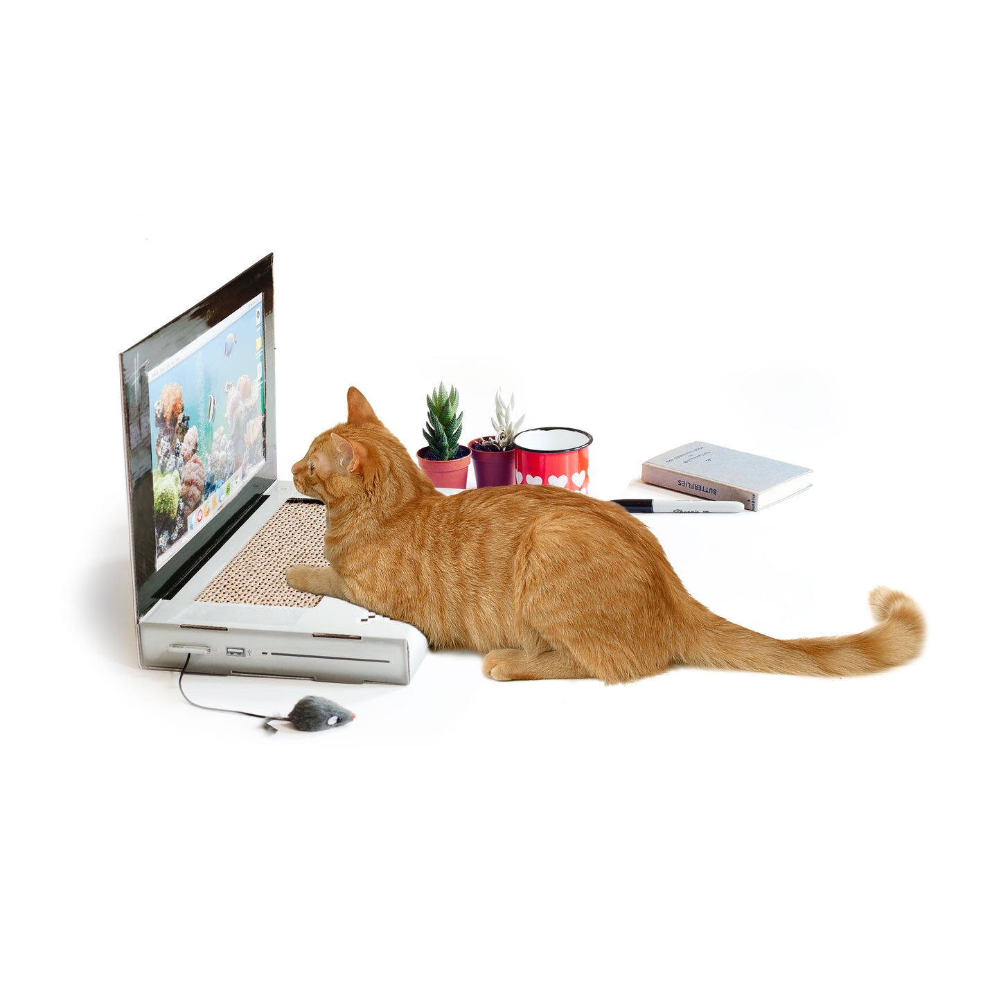 Suck UK Cat Playhouse Scratch Laptop