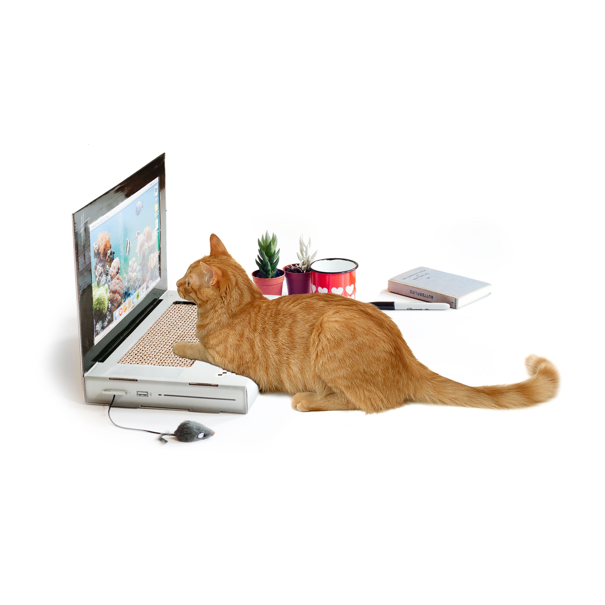 Suck UK Cat Playhouse Scratch Laptop