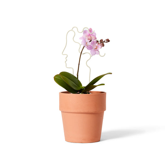 Areaware Plant Trellis Mini Human