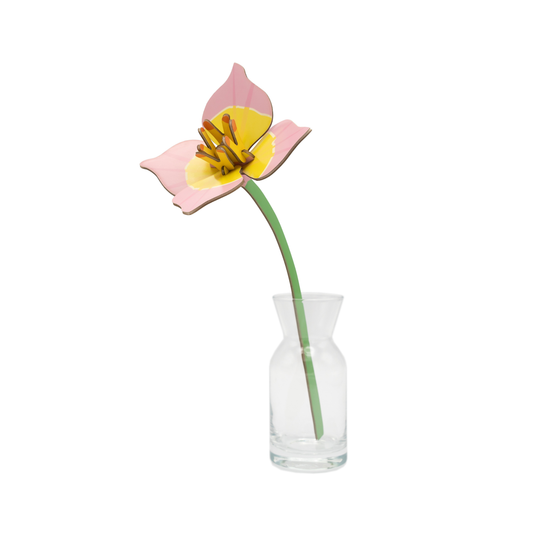 Studio Roof Everlasting Flowers Blushing Tulip