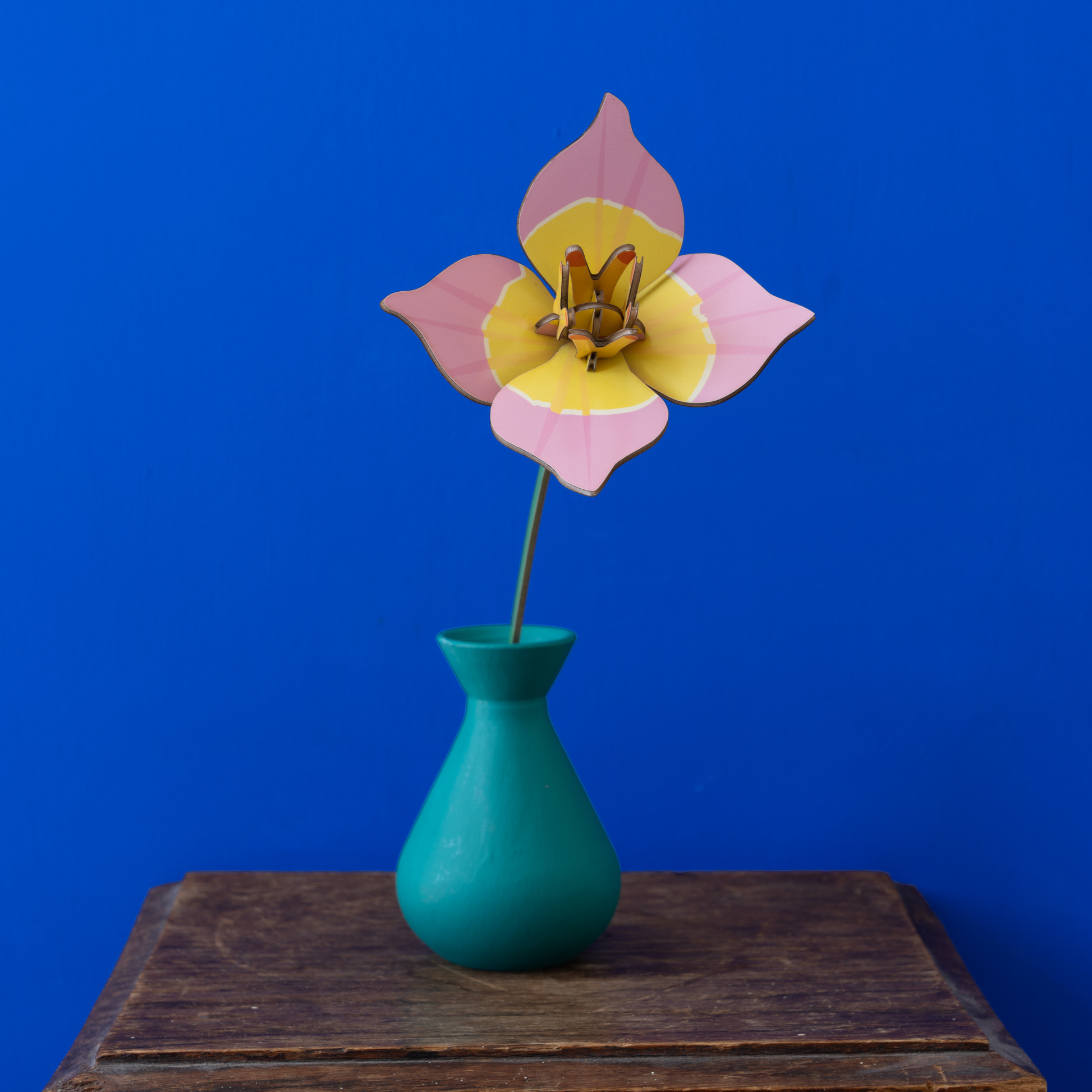 Studio Roof Everlasting Flowers Blushing Tulip