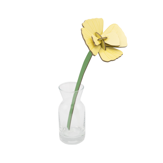 Studio Roof Everlasting Flowers Golden Poppy