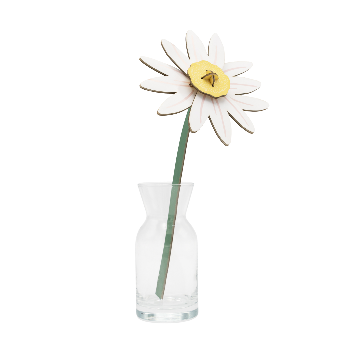Studio Roof Everlasting Flowers Meadow Daisy