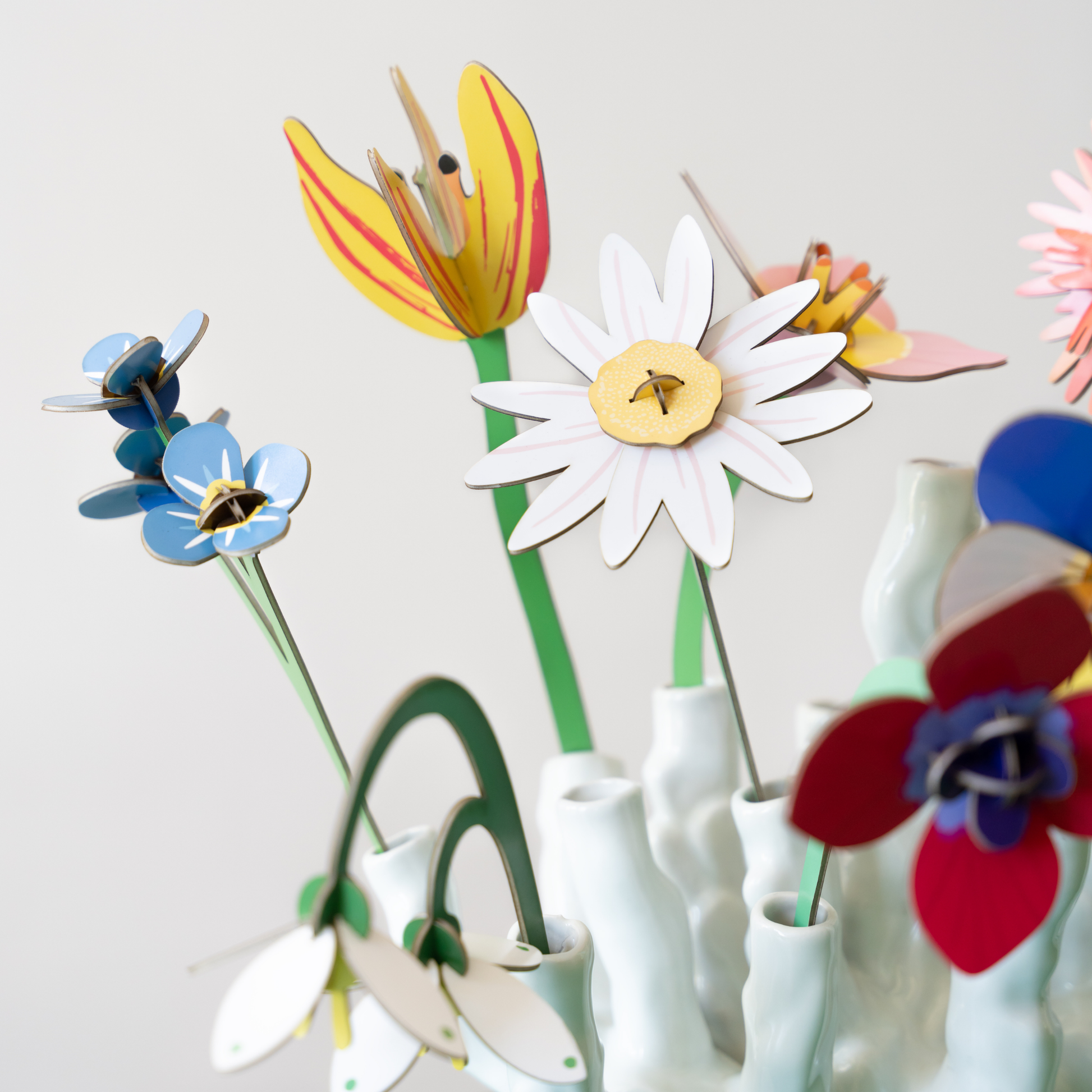 Studio Roof Everlasting Flowers Meadow Daisy