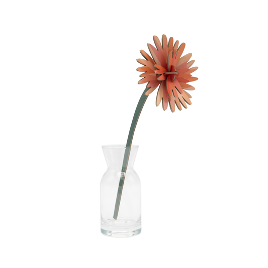 Studio Roof Everlasting Flowers Orange Dahlia