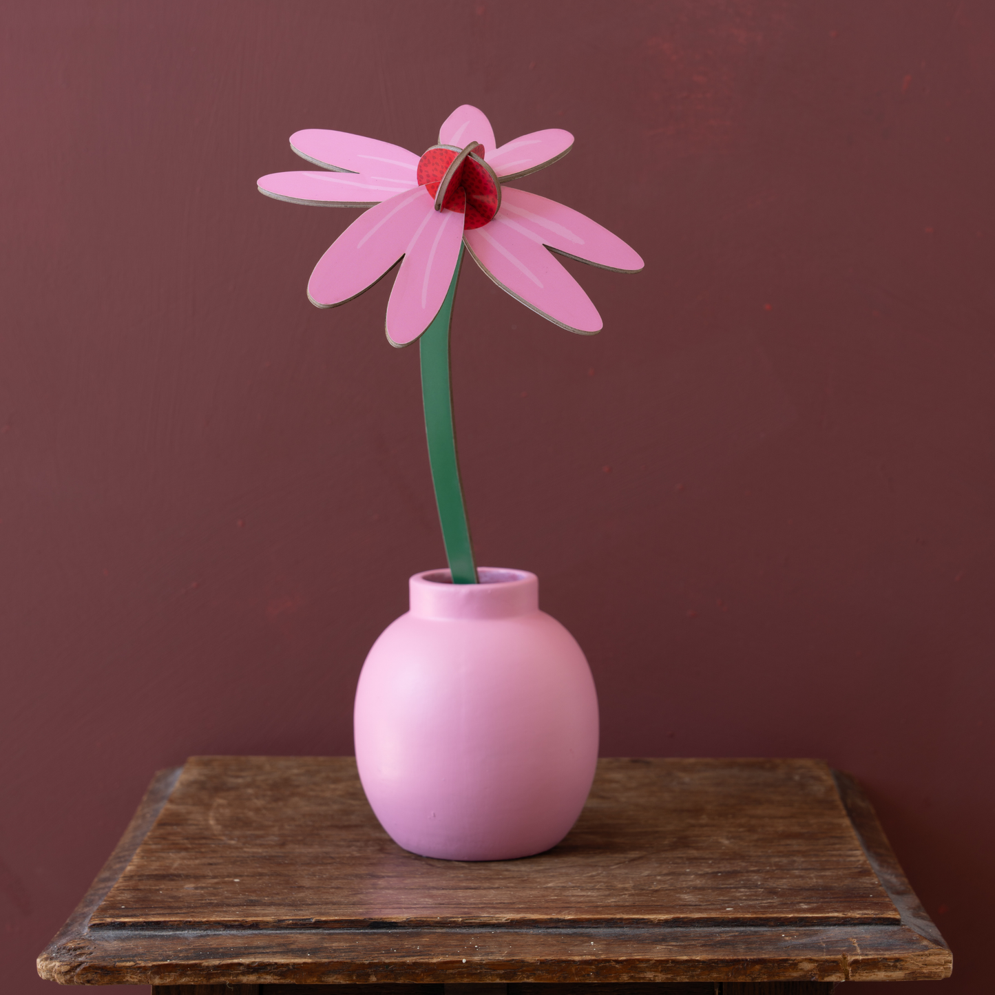 Studio Roof Everlasting Flowers Pink Coneflower