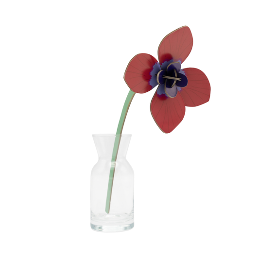 Studio Roof Everlasting Flowers Red Anemone