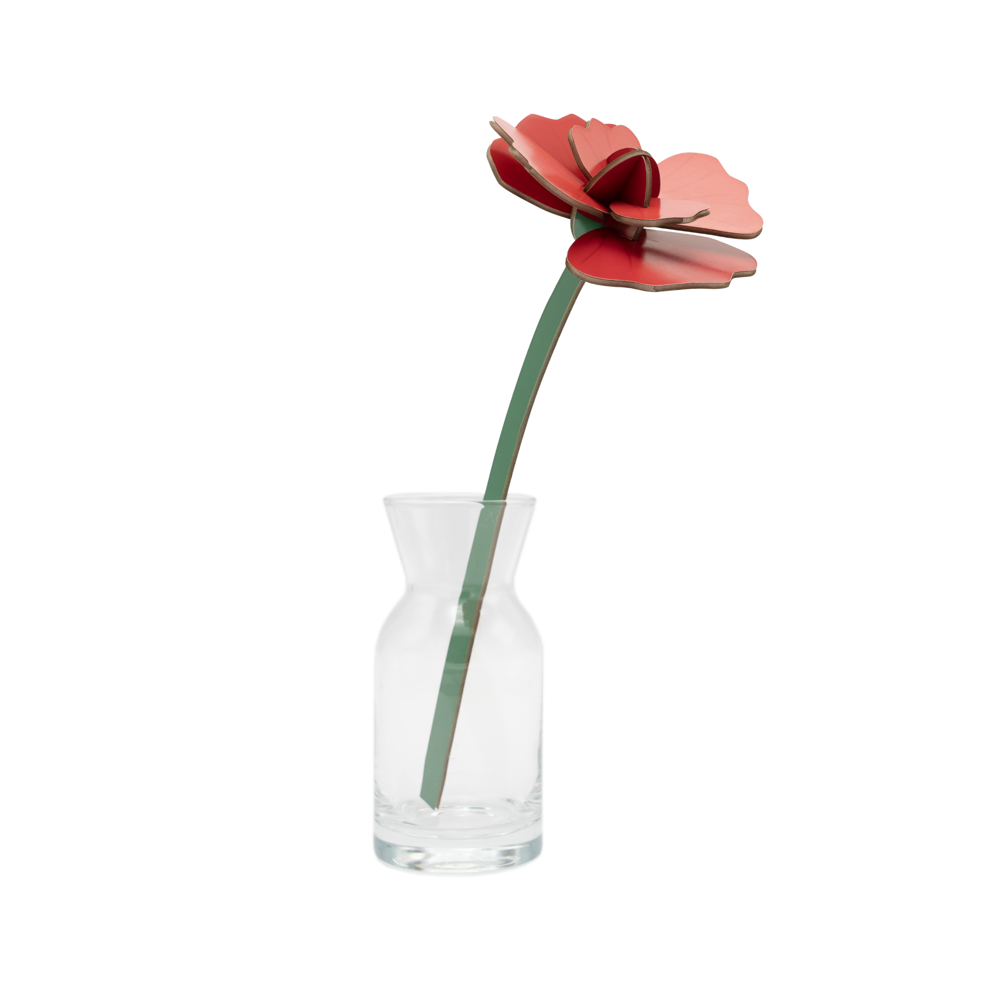 Studio Roof Everlasting Flowers Red Rose