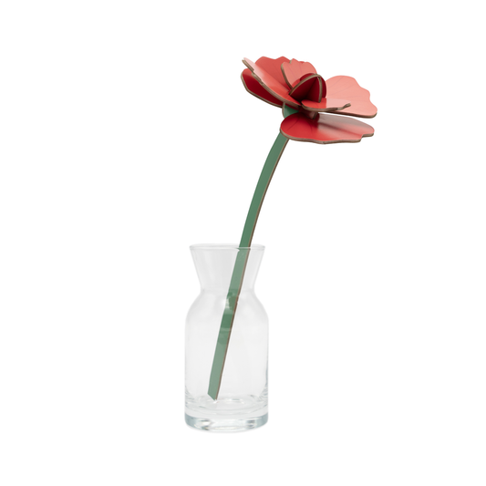 Studio Roof Everlasting Flowers Red Rose
