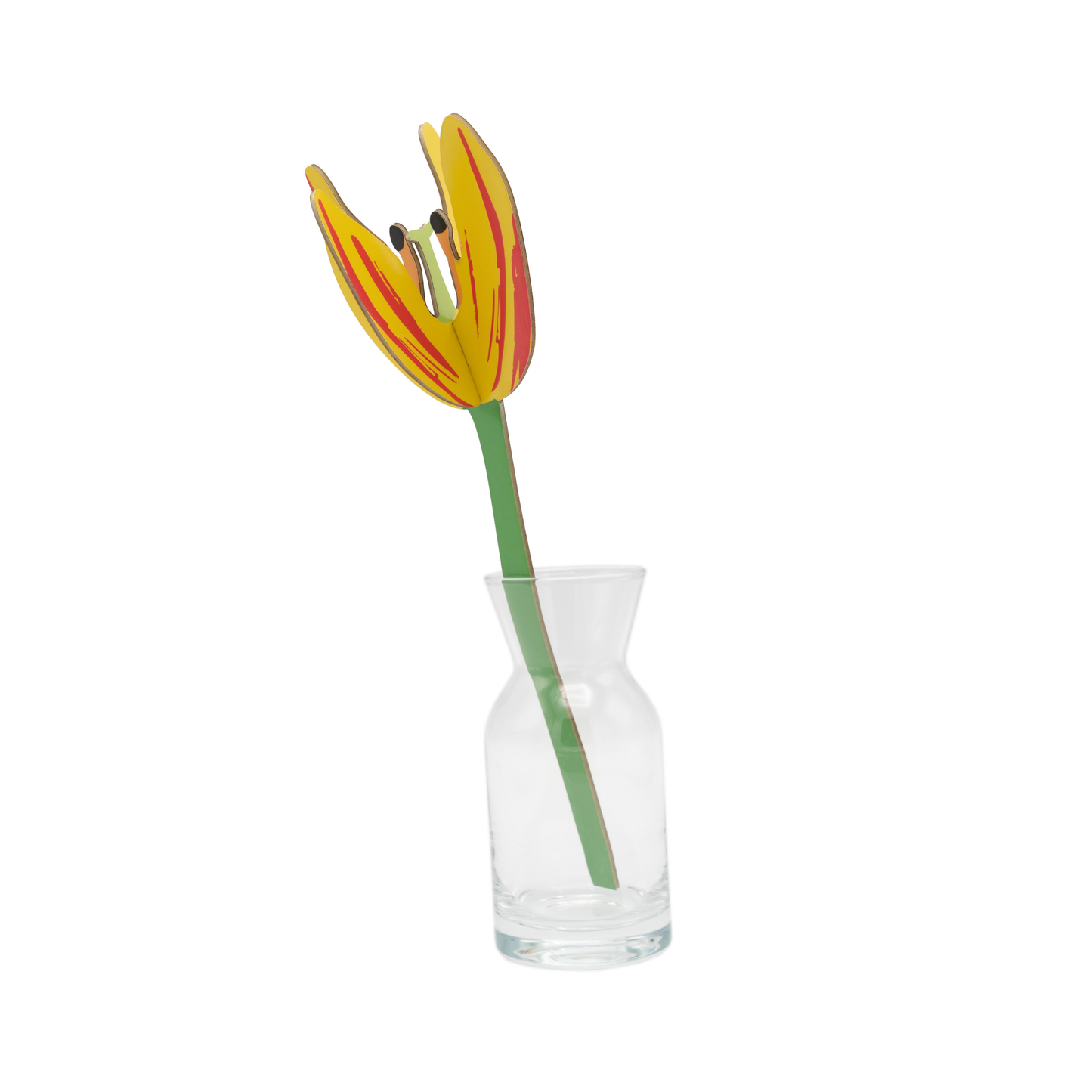 Studio Roof Everlasting Flowers Sunset Tulip