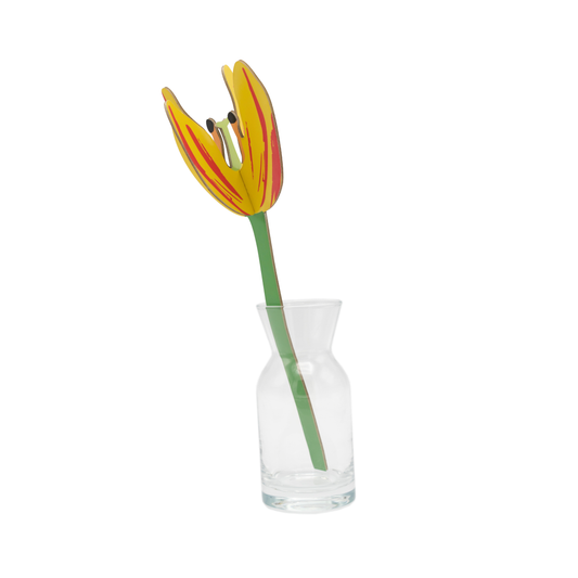 Studio Roof Everlasting Flowers Sunset Tulip