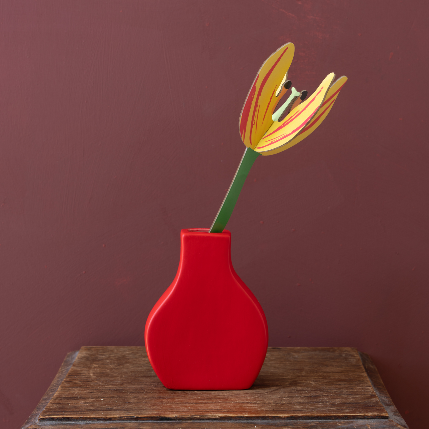 Studio Roof Everlasting Flowers Sunset Tulip