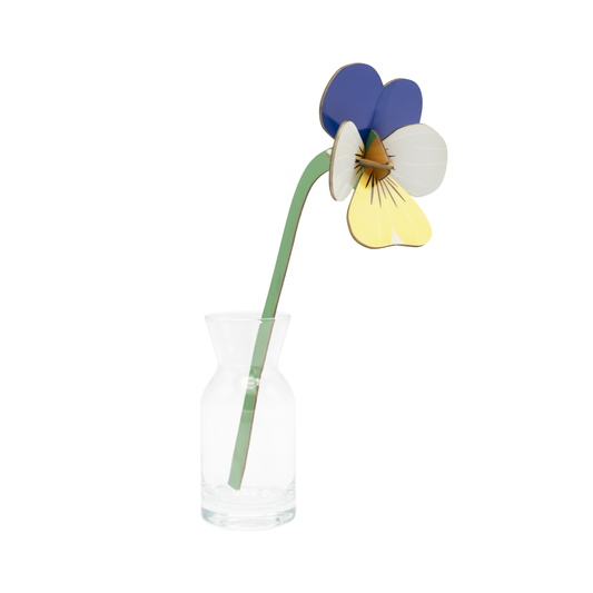 Studio Roof Everlasting Flowers Wild Pansy