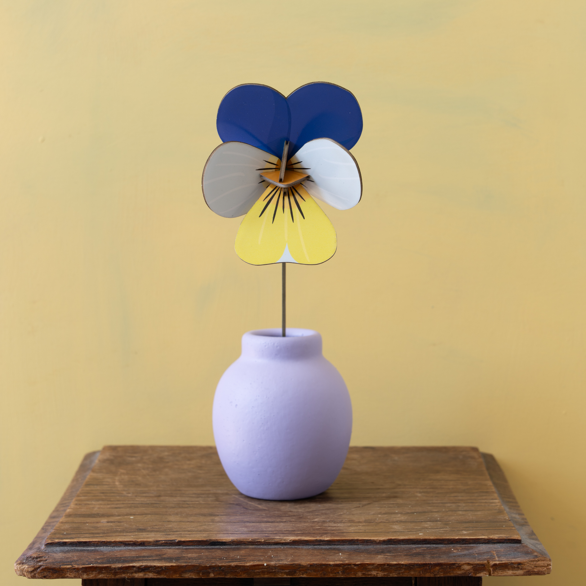 Studio Roof Everlasting Flowers Wild Pansy