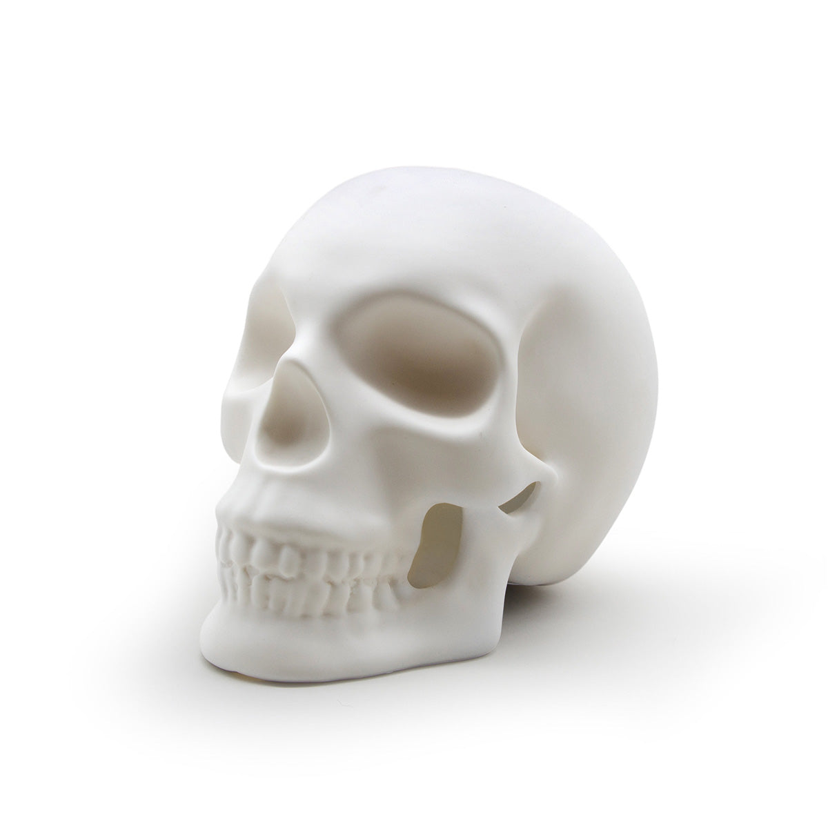 Suck UK Skull Light